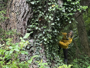 Waldcoaching Dagmar Lüdke