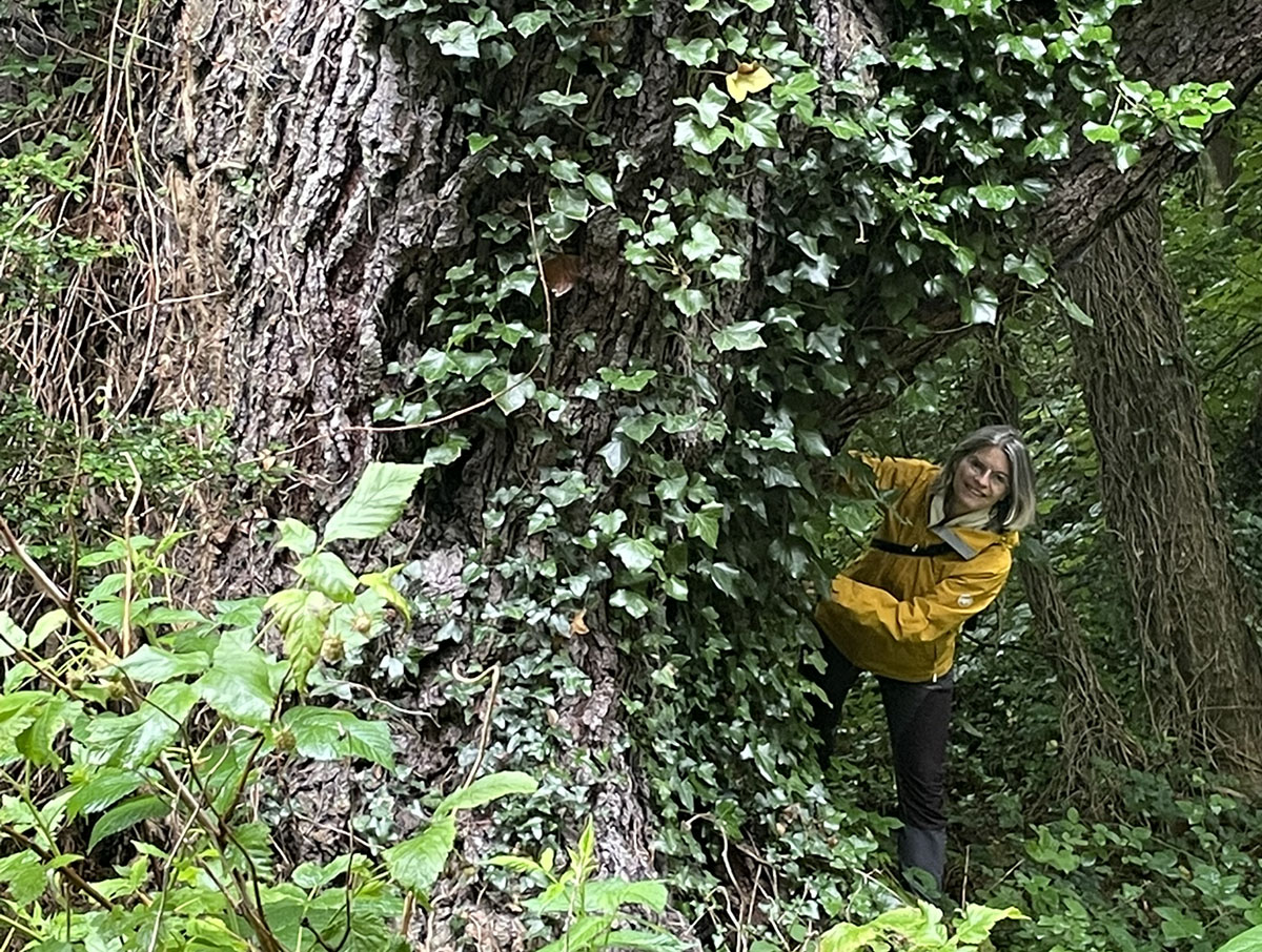 Waldcoaching Dagmar Lüdke